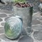 Gardenised Round Galvanized Steel, Trash Can with Lid - Durable Metal Bucket for Backyard, Lawn, Garden and Yard Use - Weather-Resistant Garbage Can for Indoor and Outdoor